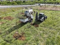 Metrobüs hattı için sökülen her ağaç başka bir alanda yaşatılıyor