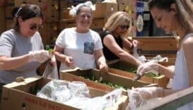 Sapanca’da Ücretsiz Fide Dağıtımına Yoğun İlgi: İkinci Etap Gerçekleşti