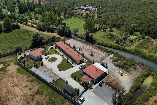 Sevimli Dostlar Barınağı'nda kapasite artışı çalışmaları devam ediyor