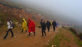 Hendek'te Doğa Yürüyüşü: Unutulmaz Anlar ve Büyüleyici Manzaralar!