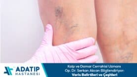 attachment-2682-1-19b51df975c66e4c78f32aa74020c8ab-1771572316