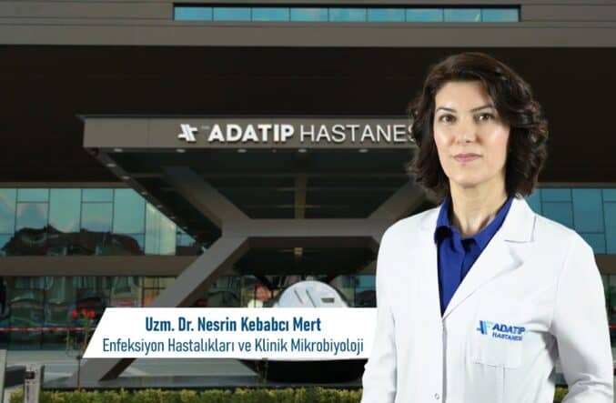 a9e3f3b2-e4e0-4d03-97c2-4fcb4111849f-1774261001