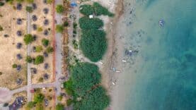 Sapanca Gölü'nde Su Seviyesi 28,88 Metreye Ulaşarak Kuruyan Bölgeleri Yeniden Canlandırıyor