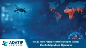 ded35881-a670-4792-a975-b2e96055aec7