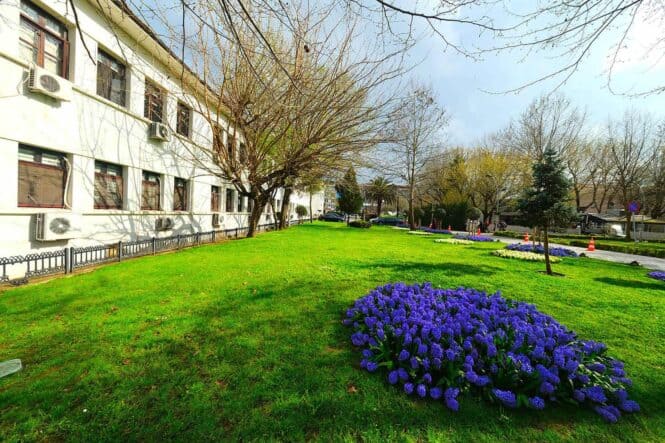 Sakarya’da 200 Bin Çiçekle Şehirde Baharın Renkli Dokunuşları Gerçekleşti