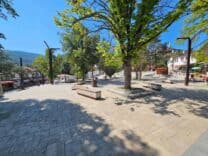 Taraklı’da Tarihi Çınar ve Şehit Mehmet Nuri Kocabıyık Parkı'nda Yenileme İhaleleri Yapıldı